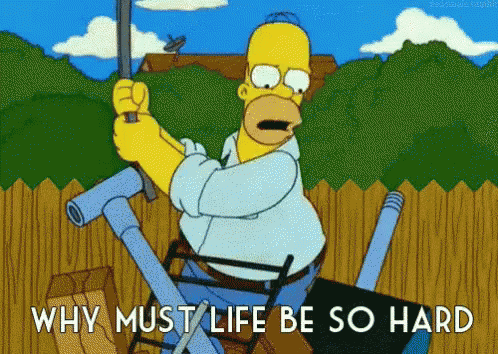 5576232.gif