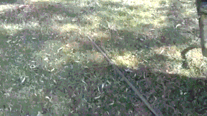 565b084.gif