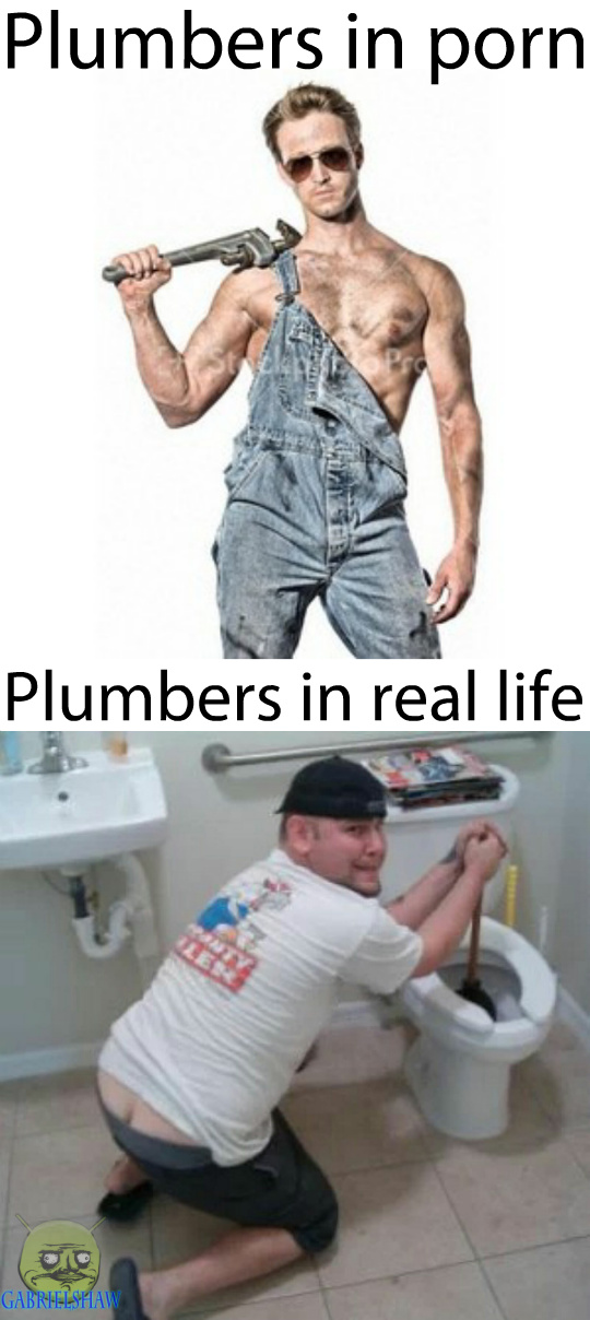 577dd2bec8168.jpeg
