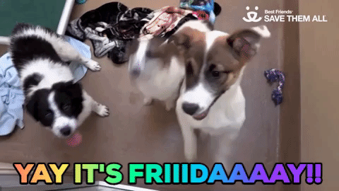 58DC8E64-32BA-48FA-8658-F02A38CE7602.gif