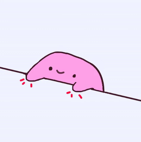 5B464F7B-4720-4D85-977C-0C8BB6A15C9E.gif