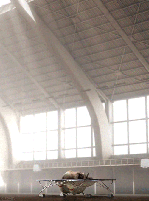 5B4C6875-E62F-418F-AEE2-85B94AF4E7F0.gif