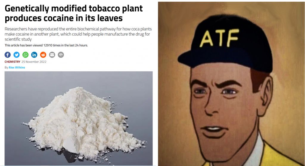 5C8C6297-39DA-4C9A-A8EE-09BA8BF865F3.jpeg