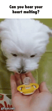 5f030b2d1b86.gif