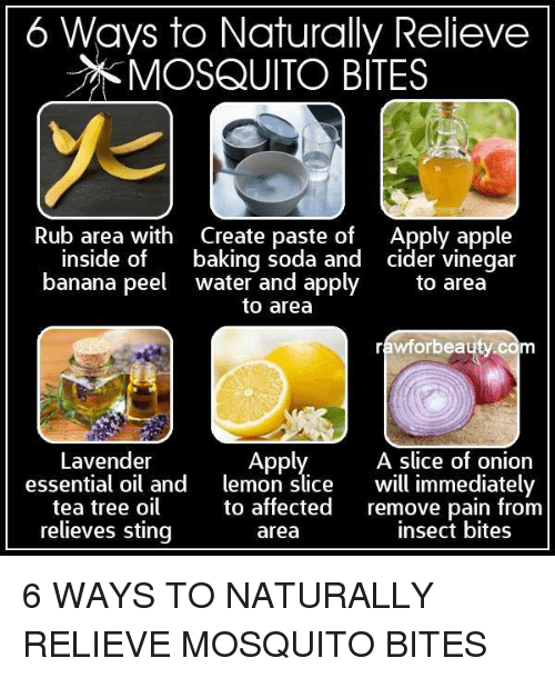 6-ways-to-naturally-relieve-mosquito-bites-rub-area-with-4934050.png