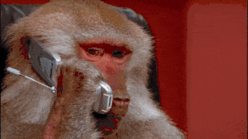60ADA75B-2A26-428E-9C68-E6AEDFEB5F2D.gif