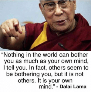 6540A57B-D654-4816-BB92-2544CB8C1195.png