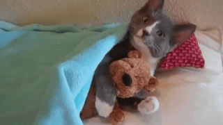 6583835C-DFEF-43C3-AD8A-A9ABF59A41BB.gif