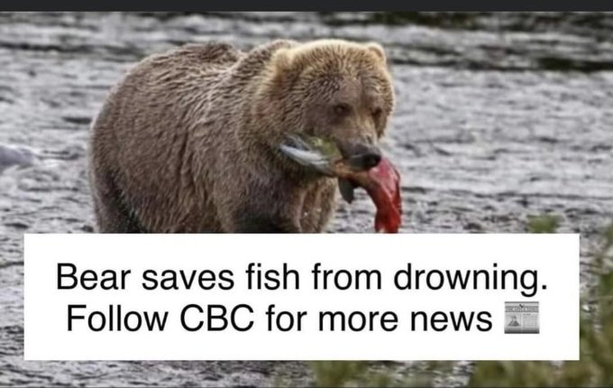 684533_cl9ge4c3xi7enhx.jpeg