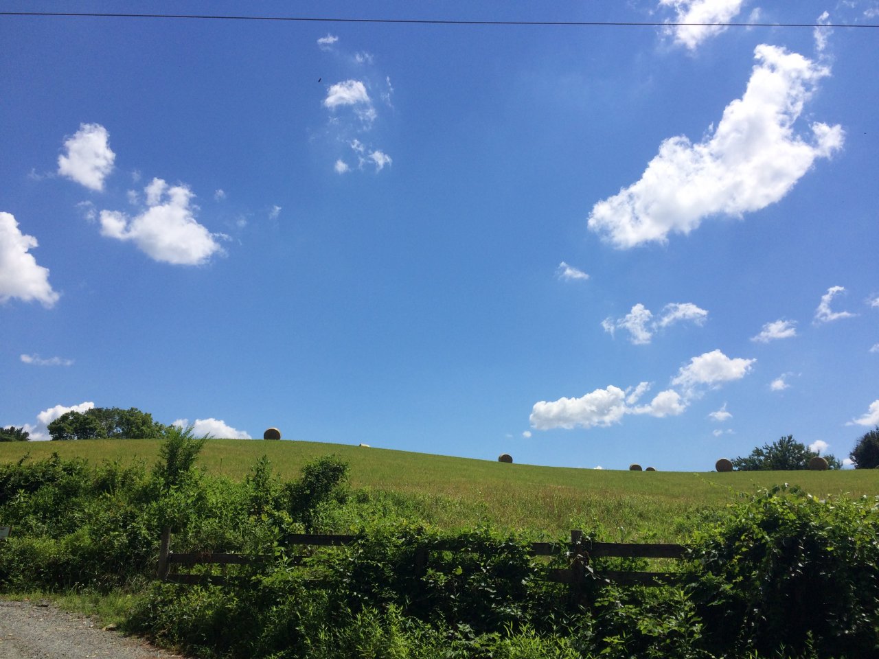 69D03357-7921-413A-B83E-28B46C78F200.jpeg