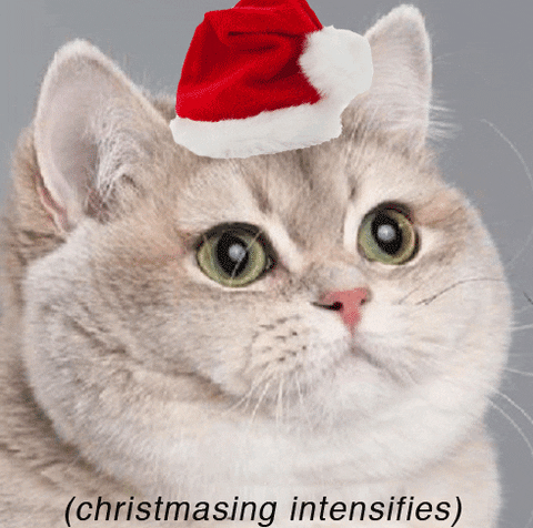6BF0558C-EFF4-413E-B7CA-DA783953D0DE.gif