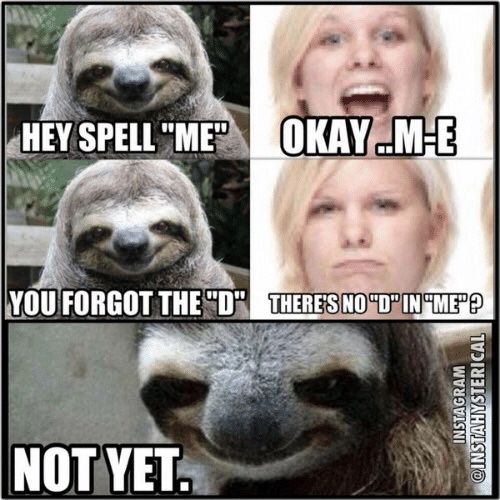 6E1F963D-055E-41BE-B28C-F724B72046B1.jpeg
