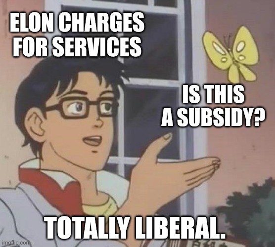6wytfz.jpg