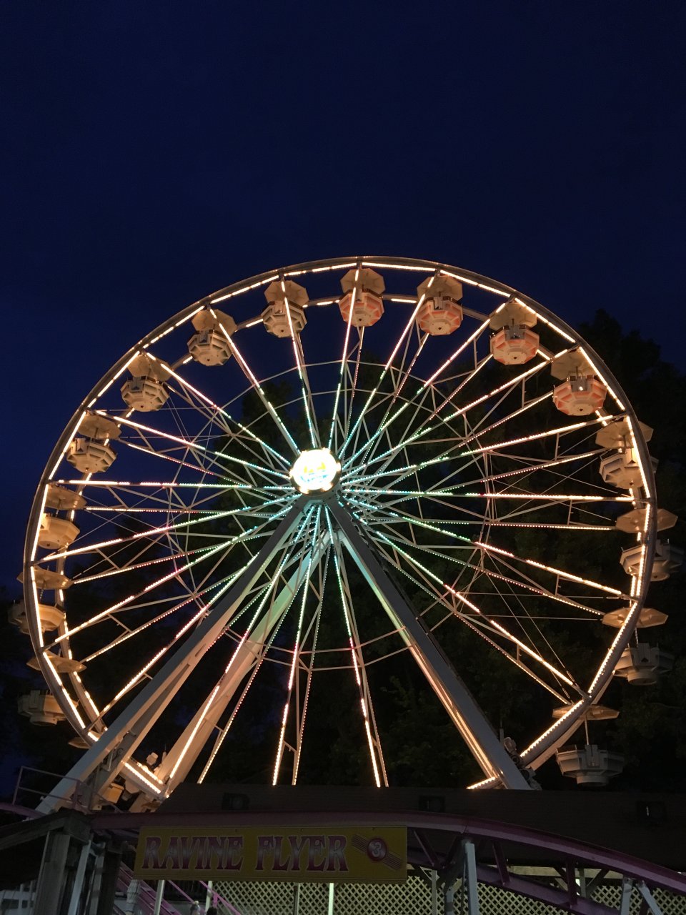 703B0062-F282-47F4-811F-1ECCB29656B0.jpeg