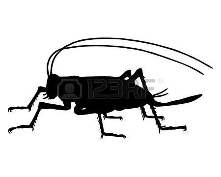 7380825-cricket-silhouette.jpg