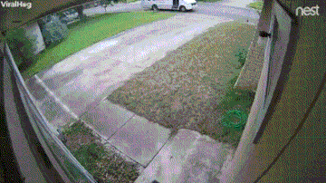 7415b1b09327.gif