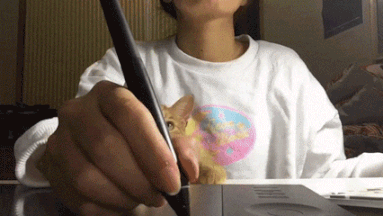 74a0c8861.gif