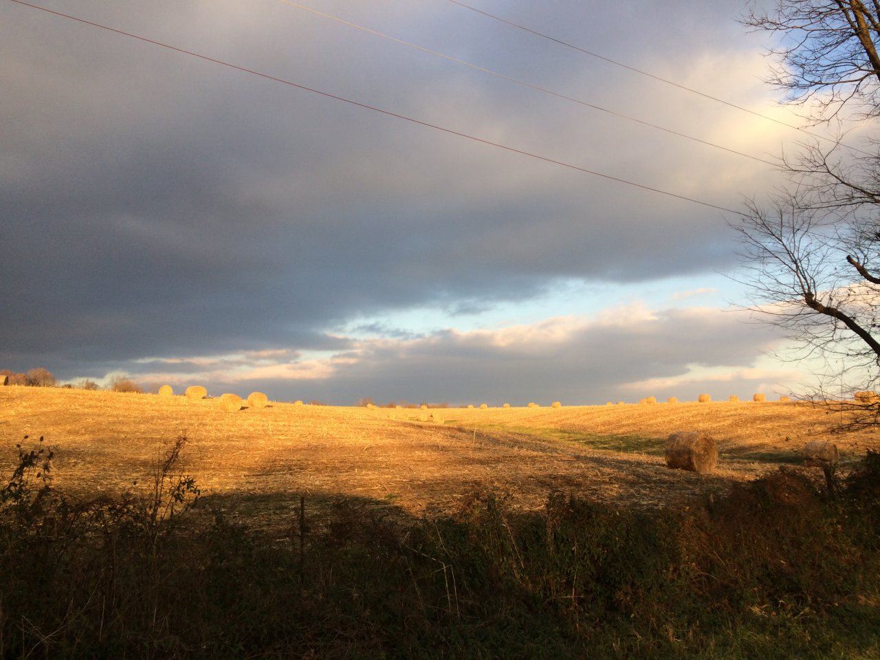 74FF9042-AB79-41FE-87FF-20FD2D2C6DB0.jpeg