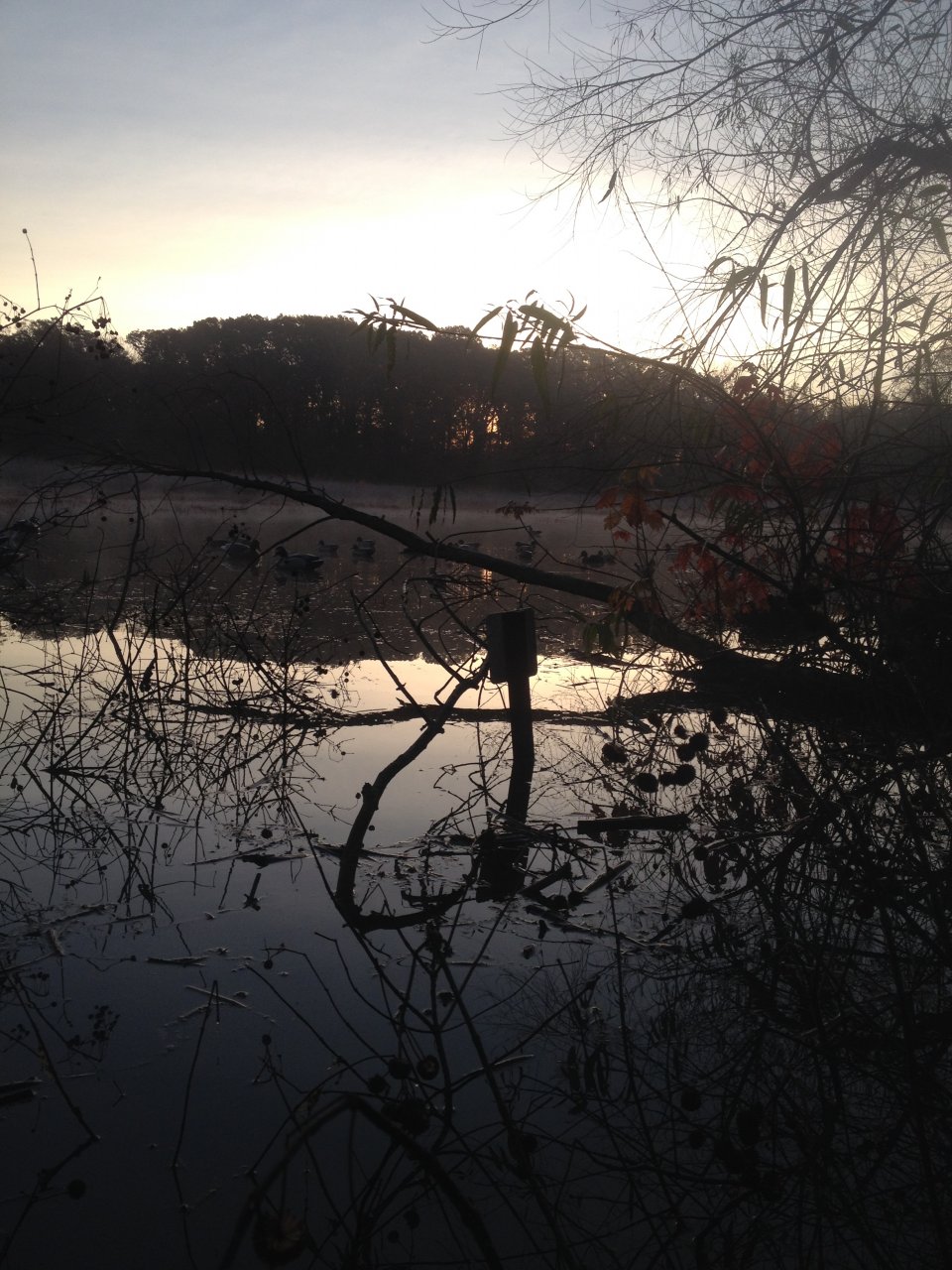 7757BD4D-5247-4474-A7EA-7F10AA35A4B6.jpeg