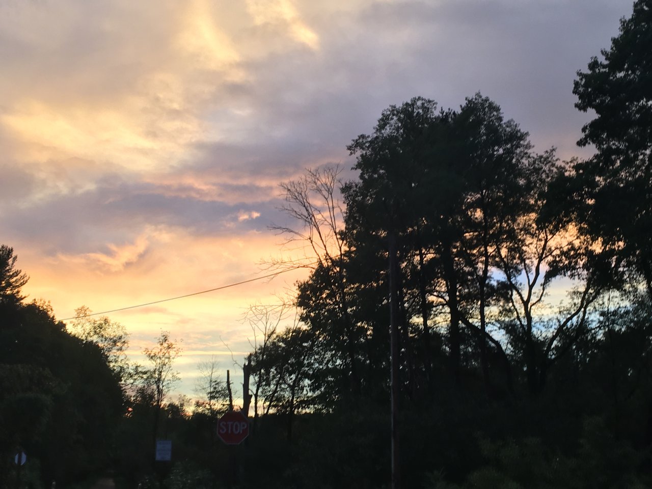 77F81CD9-A337-4D7D-9449-E4C63EA73B5E.jpeg