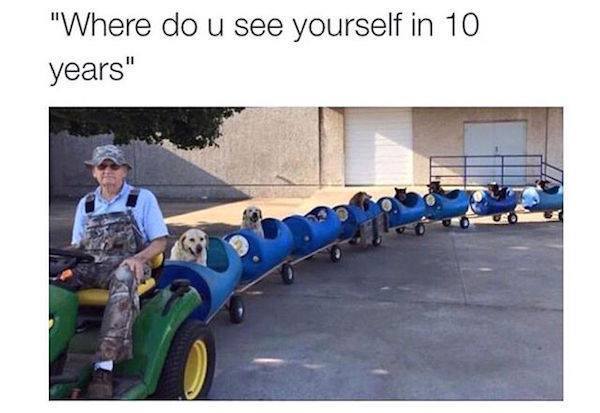 7969_n.jpg