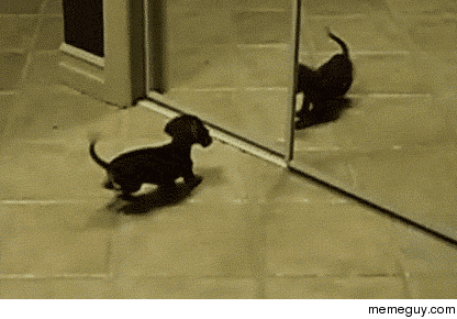 7DF0A30C-417A-4B65-AE6D-301F81355116.gif