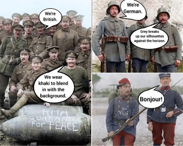 7nff3.jpg