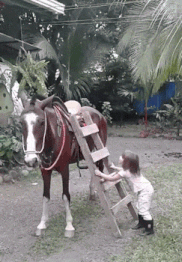 800d2f76.gif