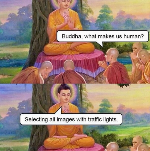 8116.jpg