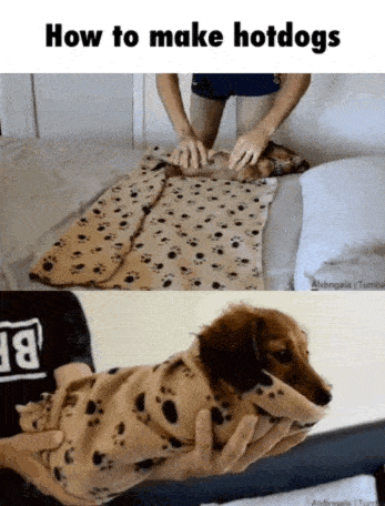 833453.gif