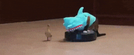 84137581.gif