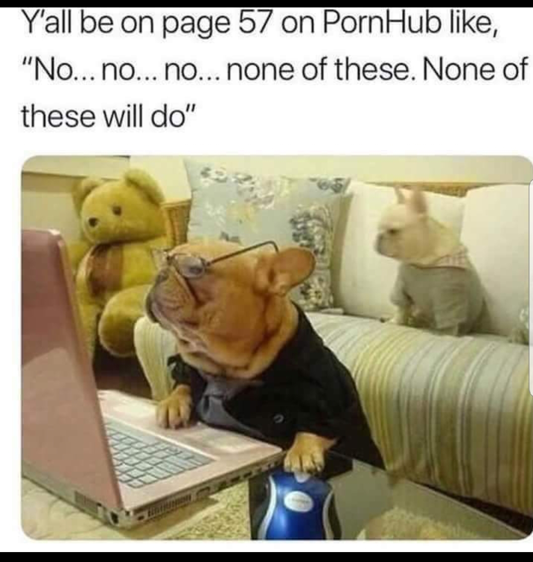 85705653.jpg