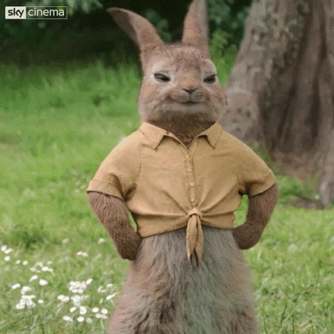 8970A1A0-043E-47AF-96C6-E501828D3865.gif