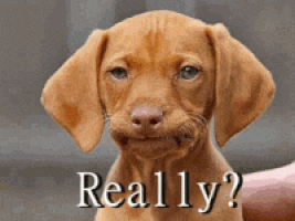8D43EAA0-4751-40C5-A45C-1E8218112546.gif