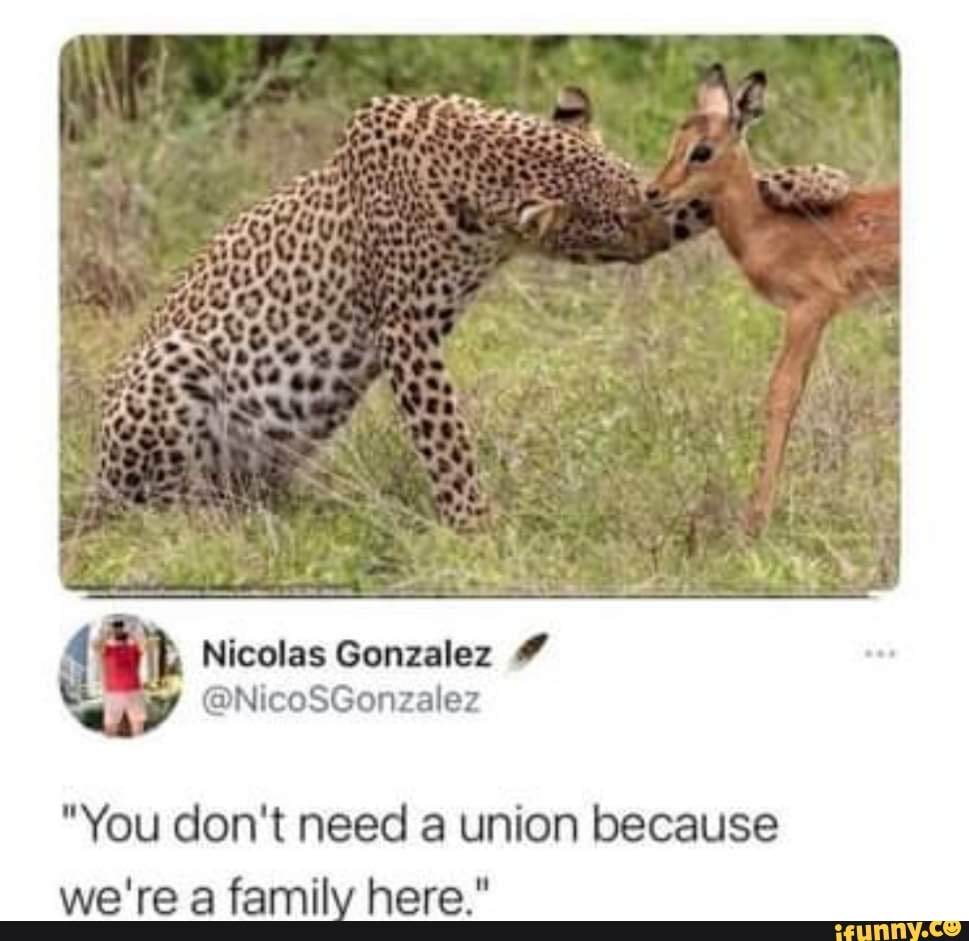 8e1050cf01d35c3ab713bf46f77f57c16215eb714cdc44ef07d6df4f1f5a69b7_1.jpg.jpg
