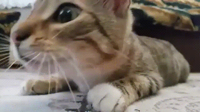 8jlcB7d.gif