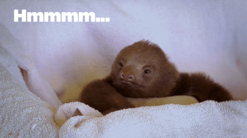 91AE9F84-C8F9-4853-B97A-D54E2ACD6702.gif