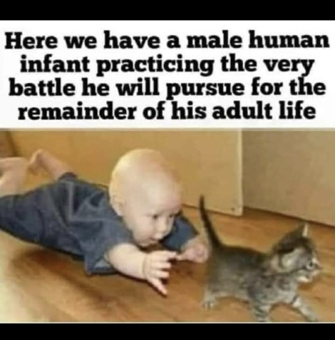 927AAB22-9F01-45B6-992C-9847AA1805E8.jpeg