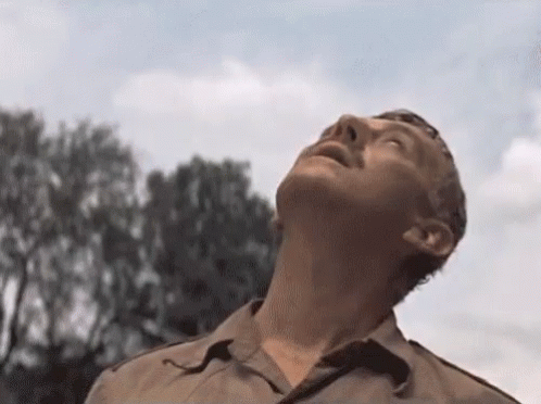 9297043.gif