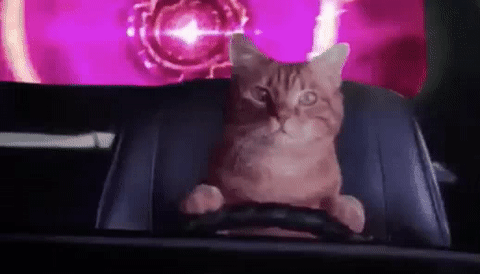 931B4BD1-3B54-4231-84DD-0148213A982E.gif