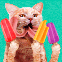 95B262BF-FD96-41B7-A5C6-BD7D269E00C5.gif