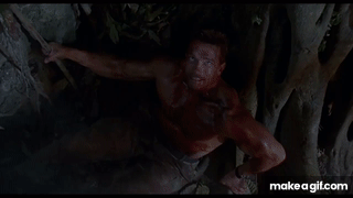 97F26490-DB08-49E3-B885-185F071375B2.gif