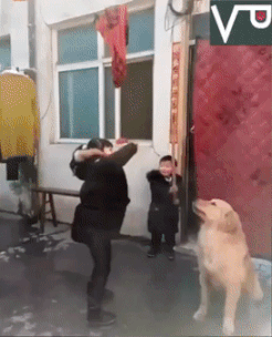 99e4b090d.gif