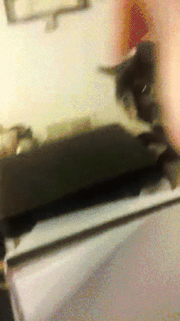 9blOczhKPAQ0w.gif