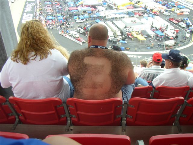 a-back.jpg