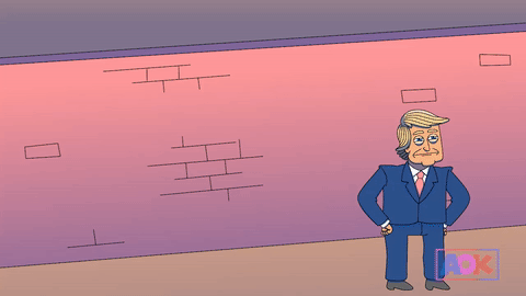 A0PiDxxm1PeX6.gif