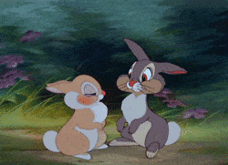 a6.gif