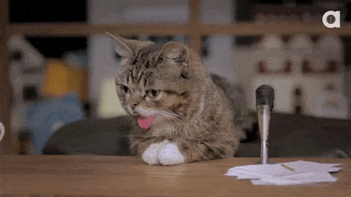 a9.gif