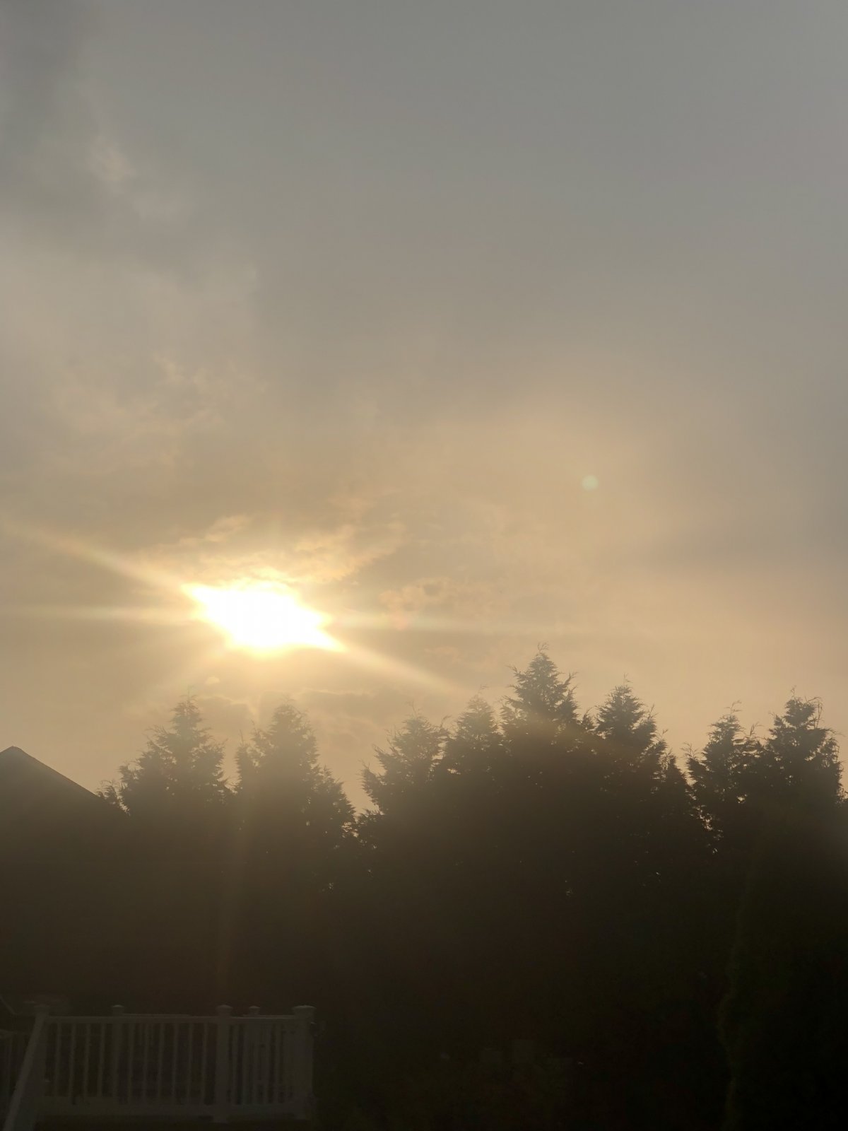 AE353EA3-F85C-4DE3-94E2-2977A2412C31.jpeg
