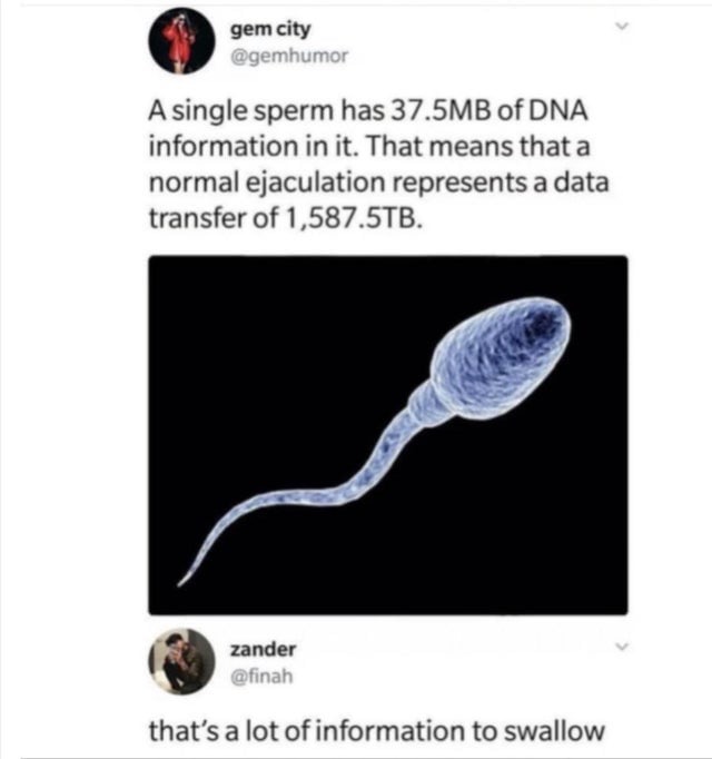 AF6F5E05-067A-4813-9291-1548F561C1DD.jpeg